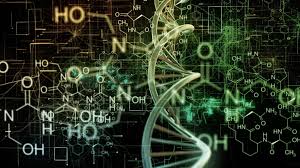 Exploring the Boundless Wonders of Science