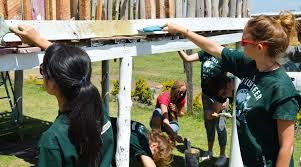 high school volunteer opportunities