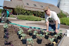Exploring Opportunities: Places to Volunteer and Make a Difference